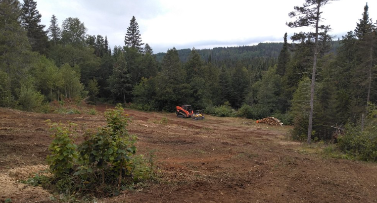 A large excavator is sitting on top of a dirt field in the middle of a forest.