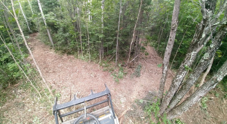 An aerial view of a tractor in the middle of a forest.