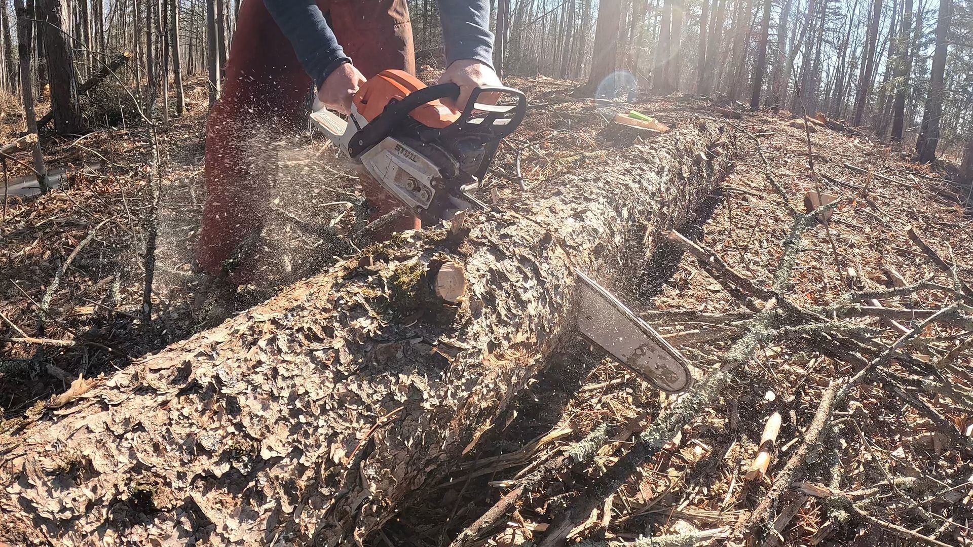 A person is cutting a log with a chainsaw in the woods.