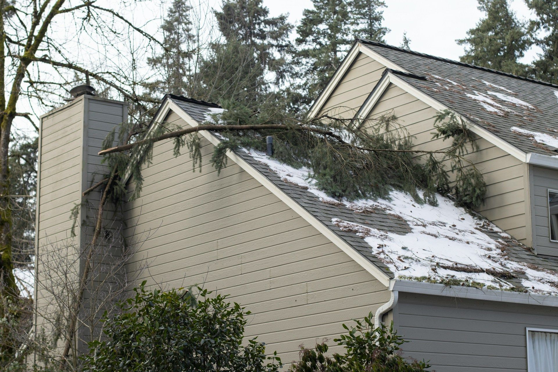 weather impact