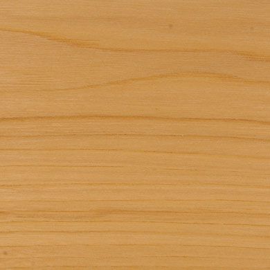 Elm Grey Garage Cabinet Color