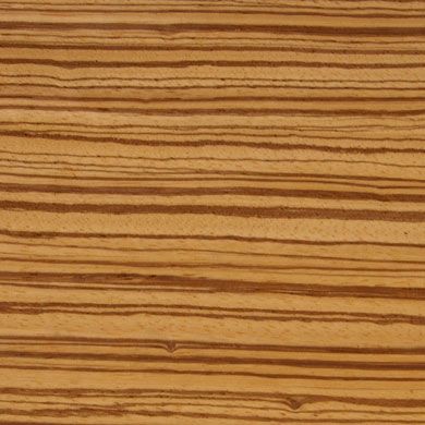 Zebrawood Garage Cabinet Color