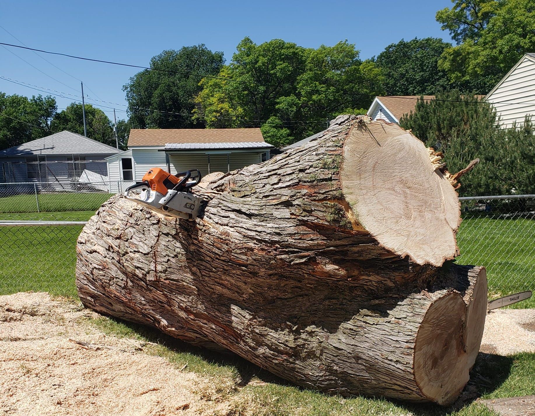 Fallen Tree In The Middle Of A Forest — Grand Isle, NE — Leetch Tree Services