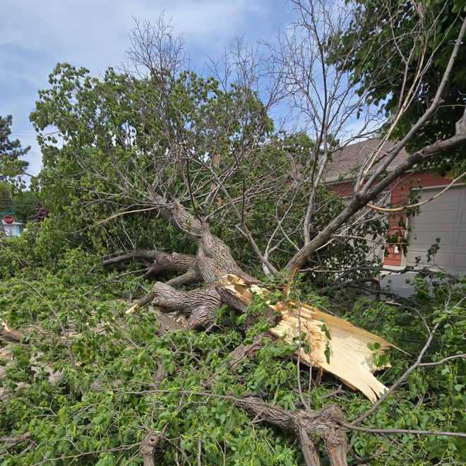 Emergency Storm Damage — Grand Isle, NE — Leetch Tree Services Emergency Storm Damage — Grand Island, NE — Leetch Tree Services