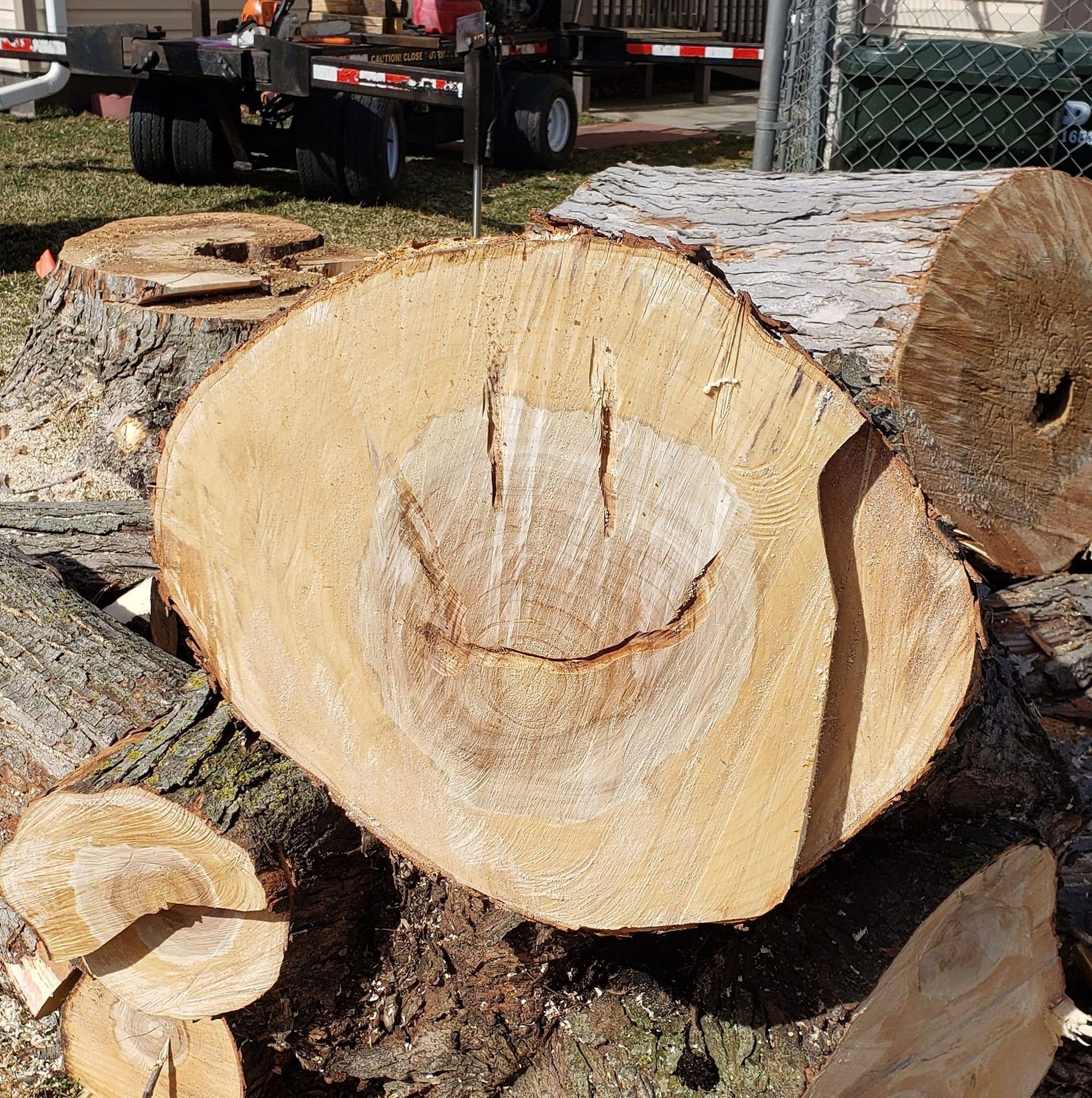 Tree Removal — Grand Isle, NE — Leetch Tree Services