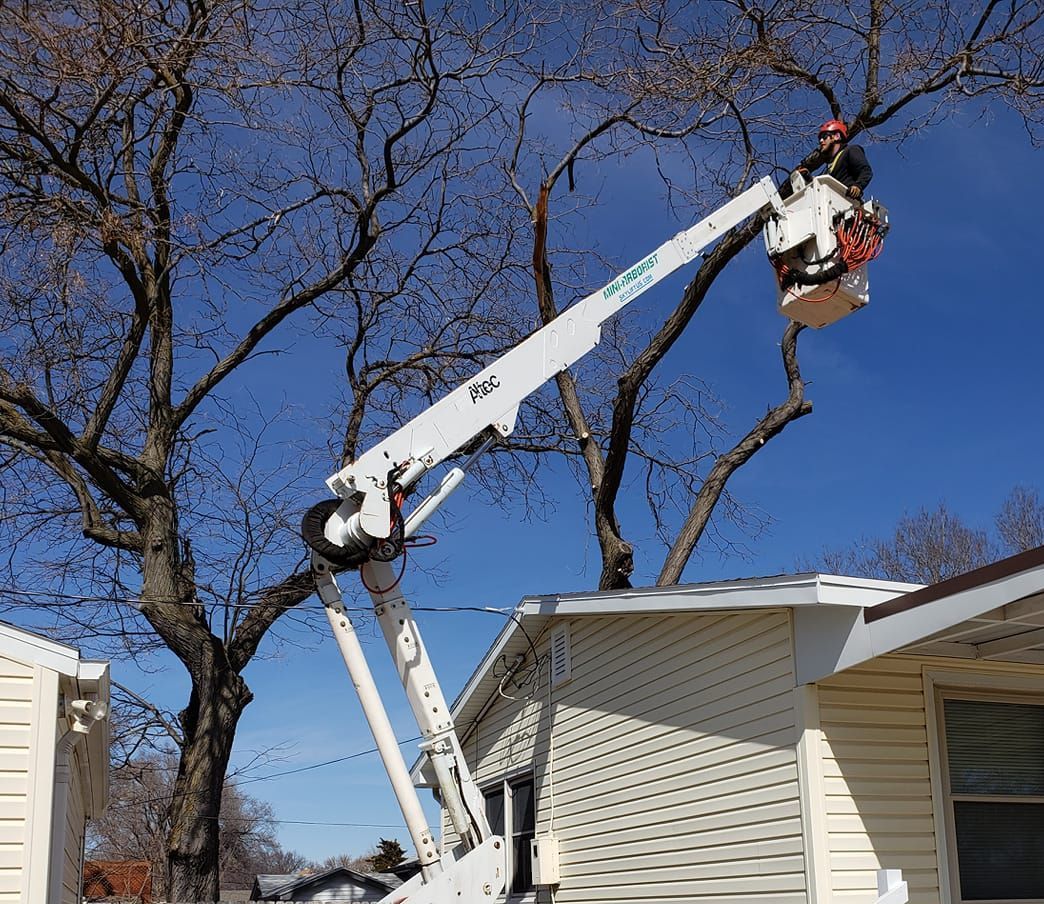 Group Of Utility Trucks — Grand Isle, NE — Leetch Tree Services