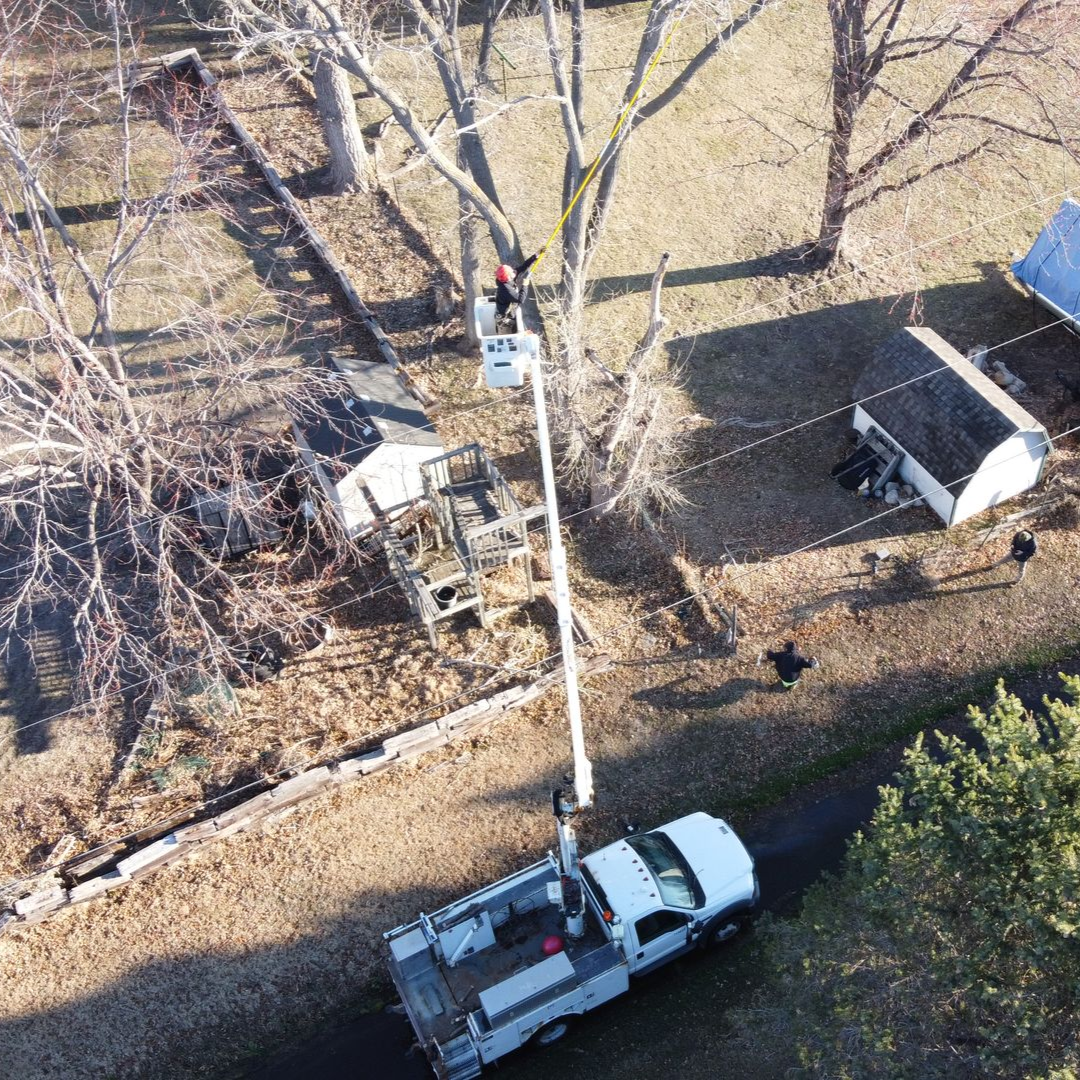 Cutting A Tree Branch — Grand Isle, NE — Leetch Tree Services Cutting A Tree Branch — Grand Isle, NE — Leetch Tree Services