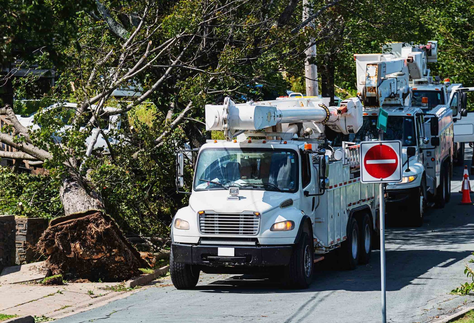 Man Is Cutting A Tree — Grand Isle, NE — Leetch Tree Services