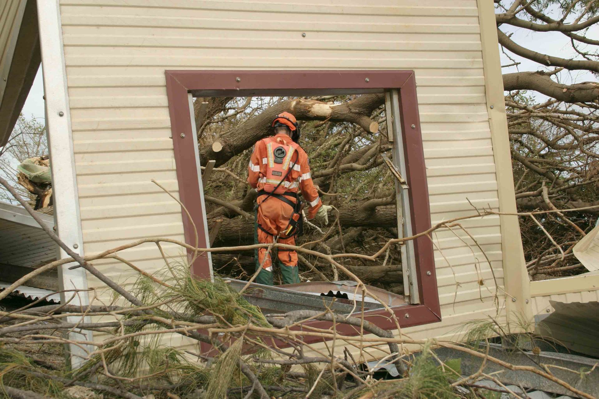 Removal And Clean-Up — Grand Isle, NE — Leetch Tree Services