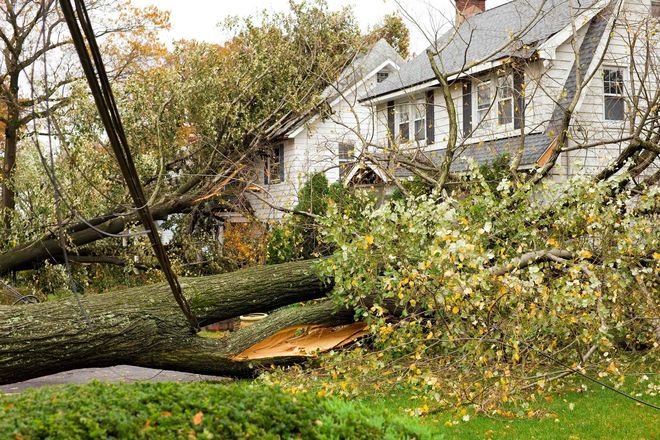 Emergency Storm Damage — Grand Isle, NE — Leetch Tree Services