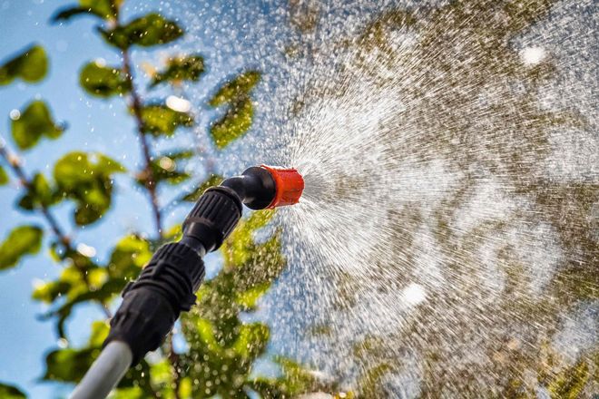 Spraying And Fertilization — Grand Isle, NE — Leetch Tree Services