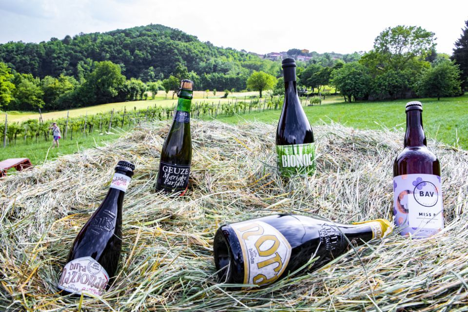 Birre artigianali pregiate