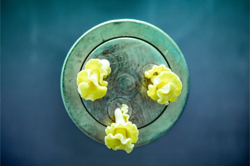 Pasta fresca fatta in casa