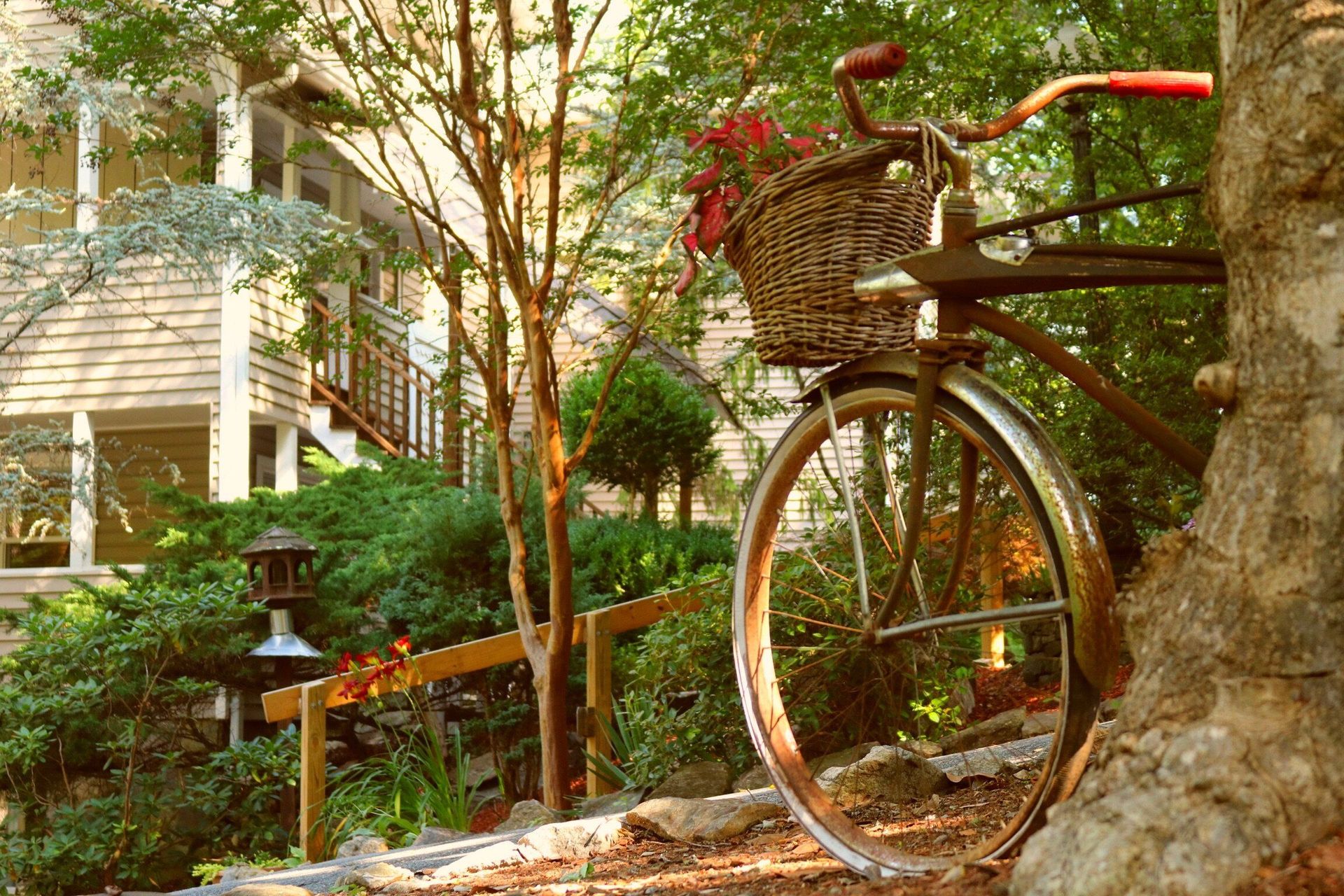 Rustic bicycle with basket parked among trees beside a house and garden path