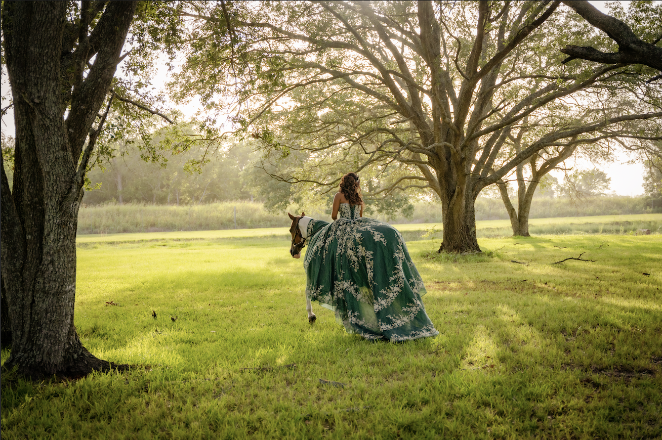 Quince Portrait on Horse in Angleton