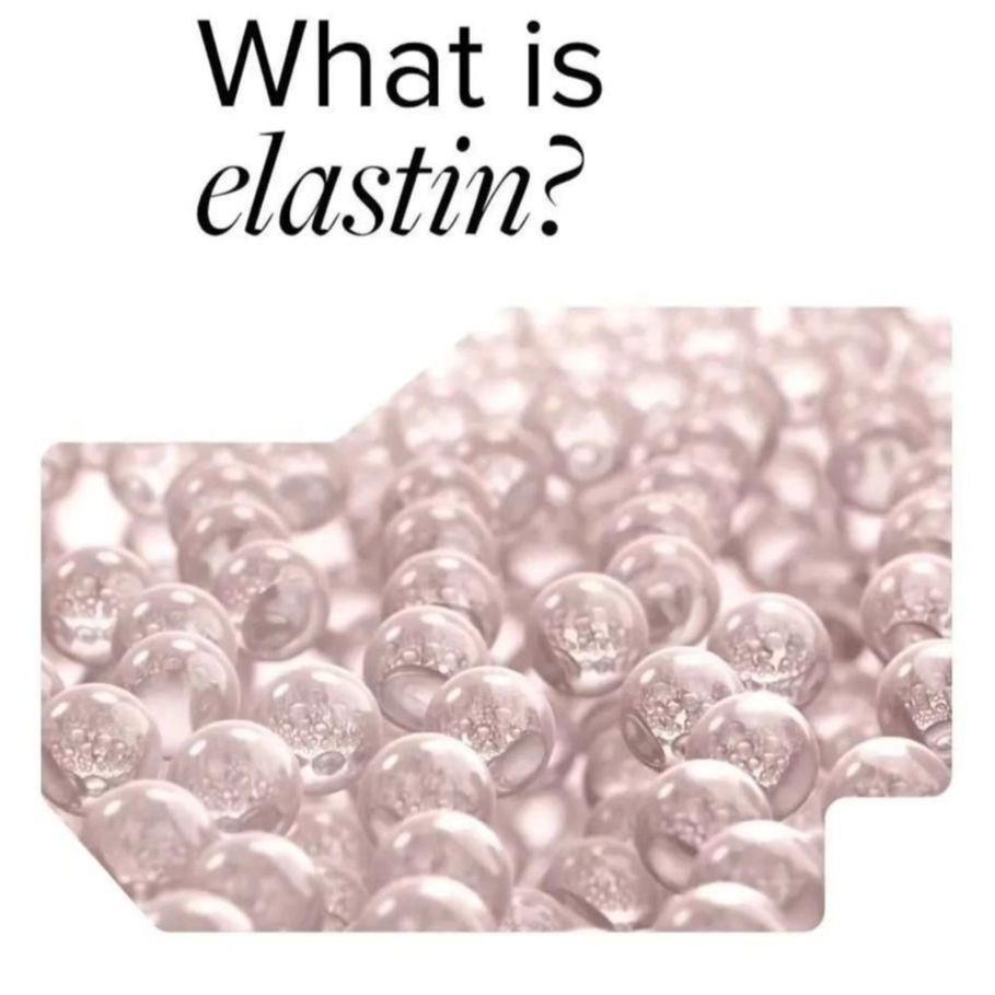 what is elastin