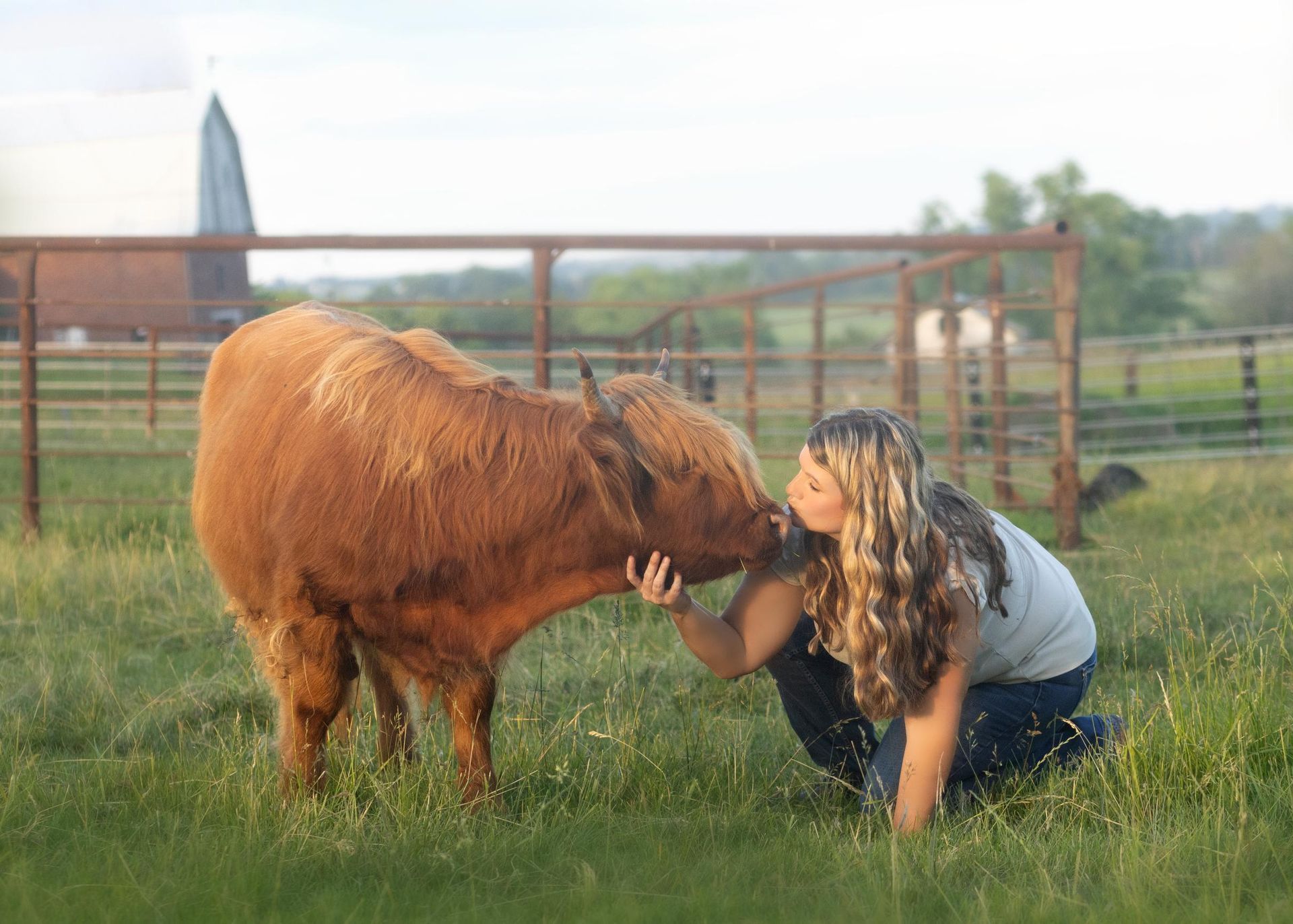 A woman is kissing a brown cow in a field.