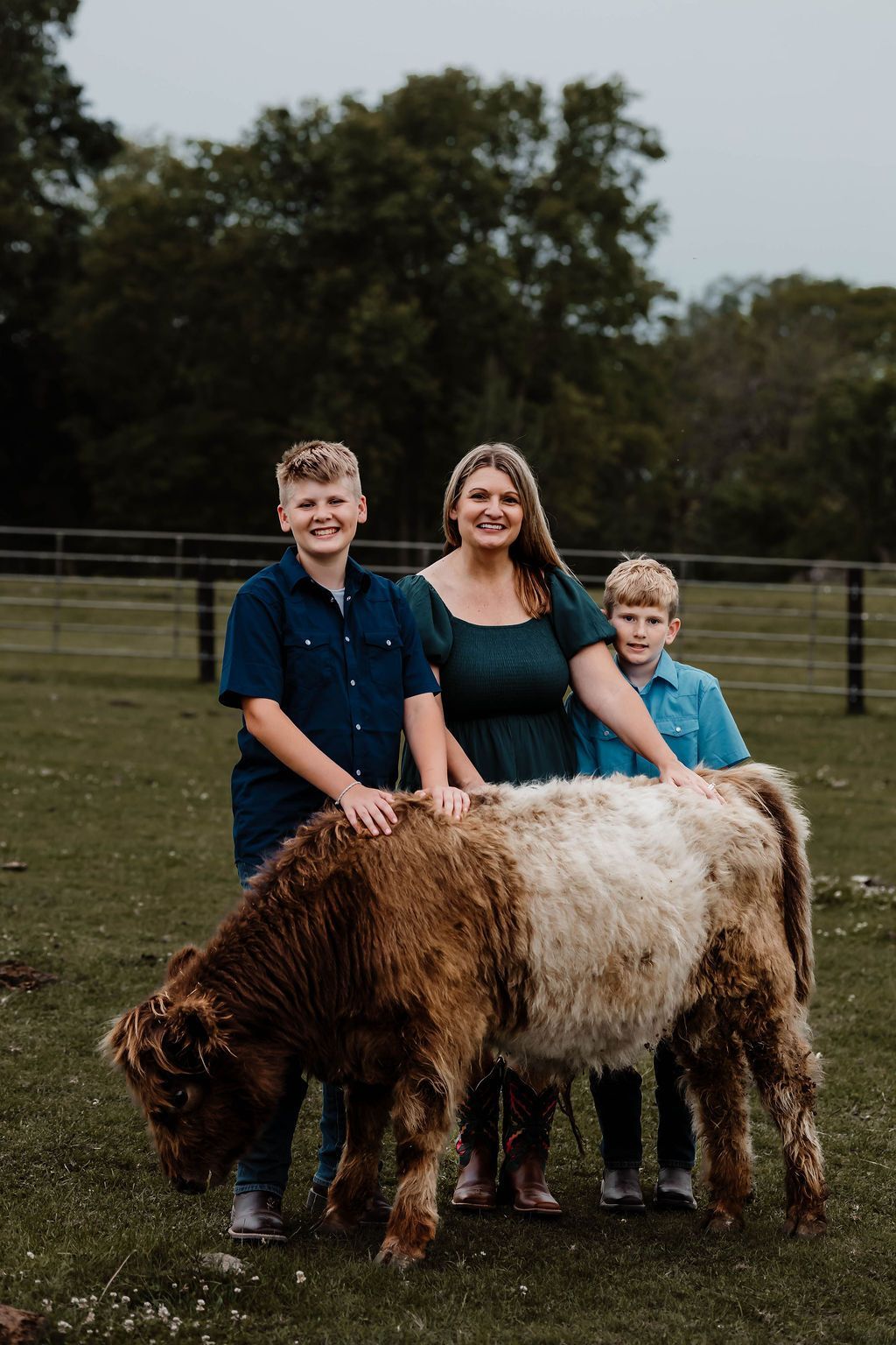 A close up of a highland cow with long horns looking at the camera.