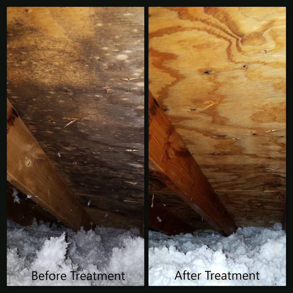 Commercial Mold Removal in Abilene KS — Hathaway Environmental in Abilene KS