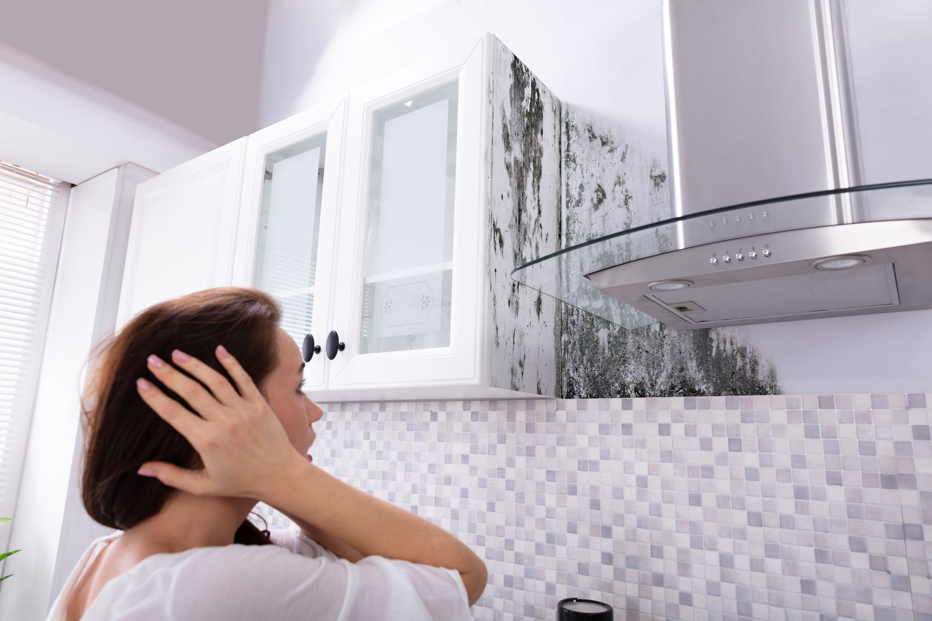 professional mold remediation services in Solon, OH