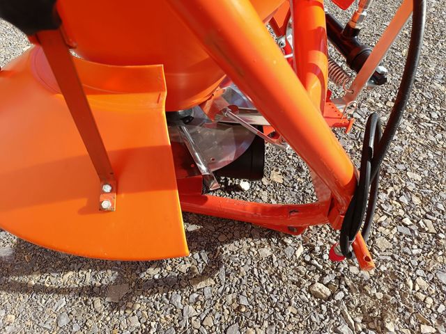 thuja mit asche dngen Thuja Dnger - Mineralischer NPK Flssigdnger mit Stickstoff