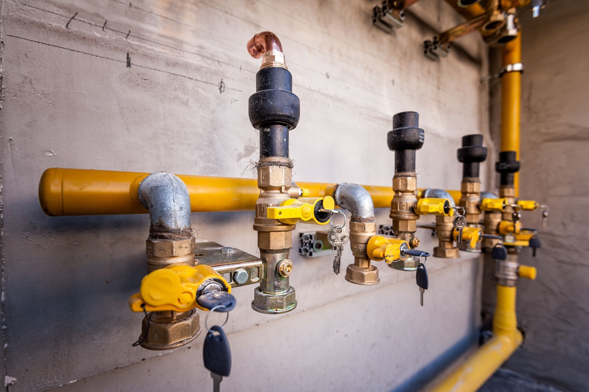 A row of yellow pipes and valves on a wall.