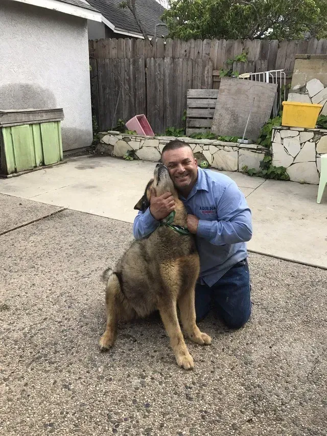 A man is kneeling down next to a brown dog in South Bay, CA