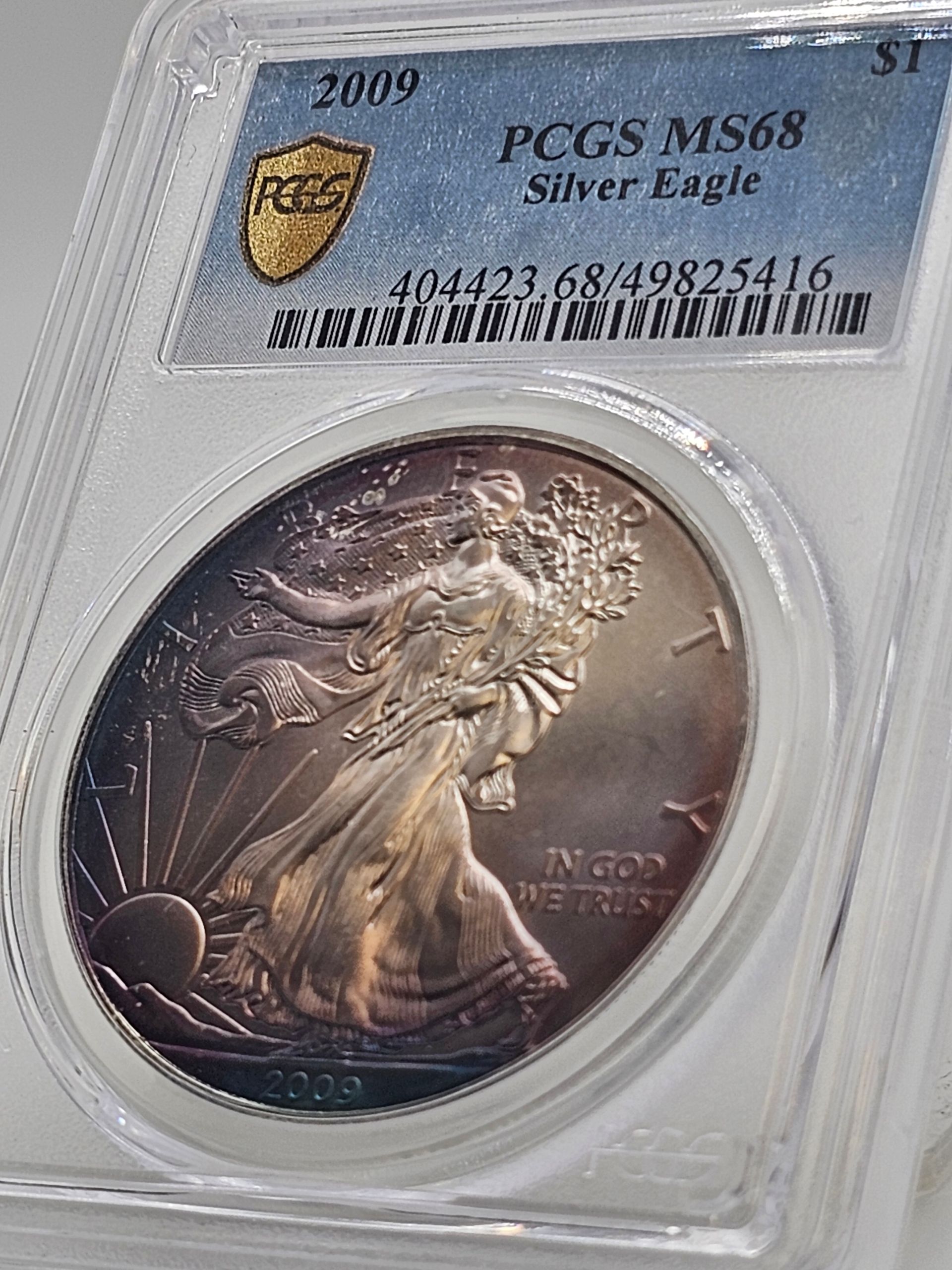 2009 American Silver Eagle
