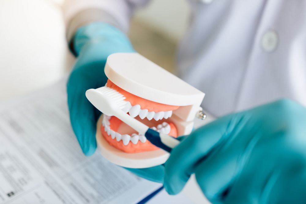 A Dentist Is Brushing A Model Of Teeth With A Toothbrush — Denture Cleaning in Central Coast, NSW
