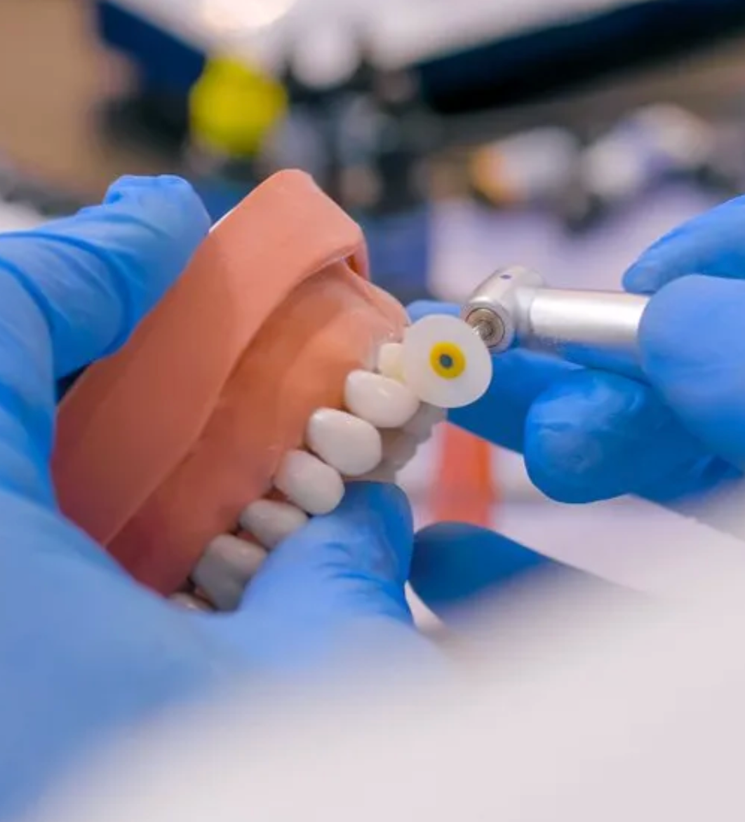 Dentist making adjustments to teeth model — Denture Adjustments in Central Coast, NSW