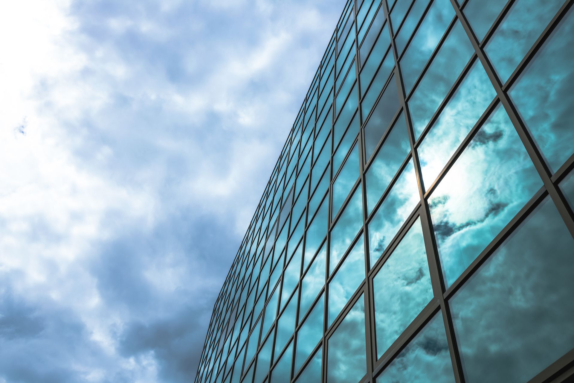 White-framed glass doors with ivy. A bird feeder hangs in the center, and a glimpse of a garden in the background.