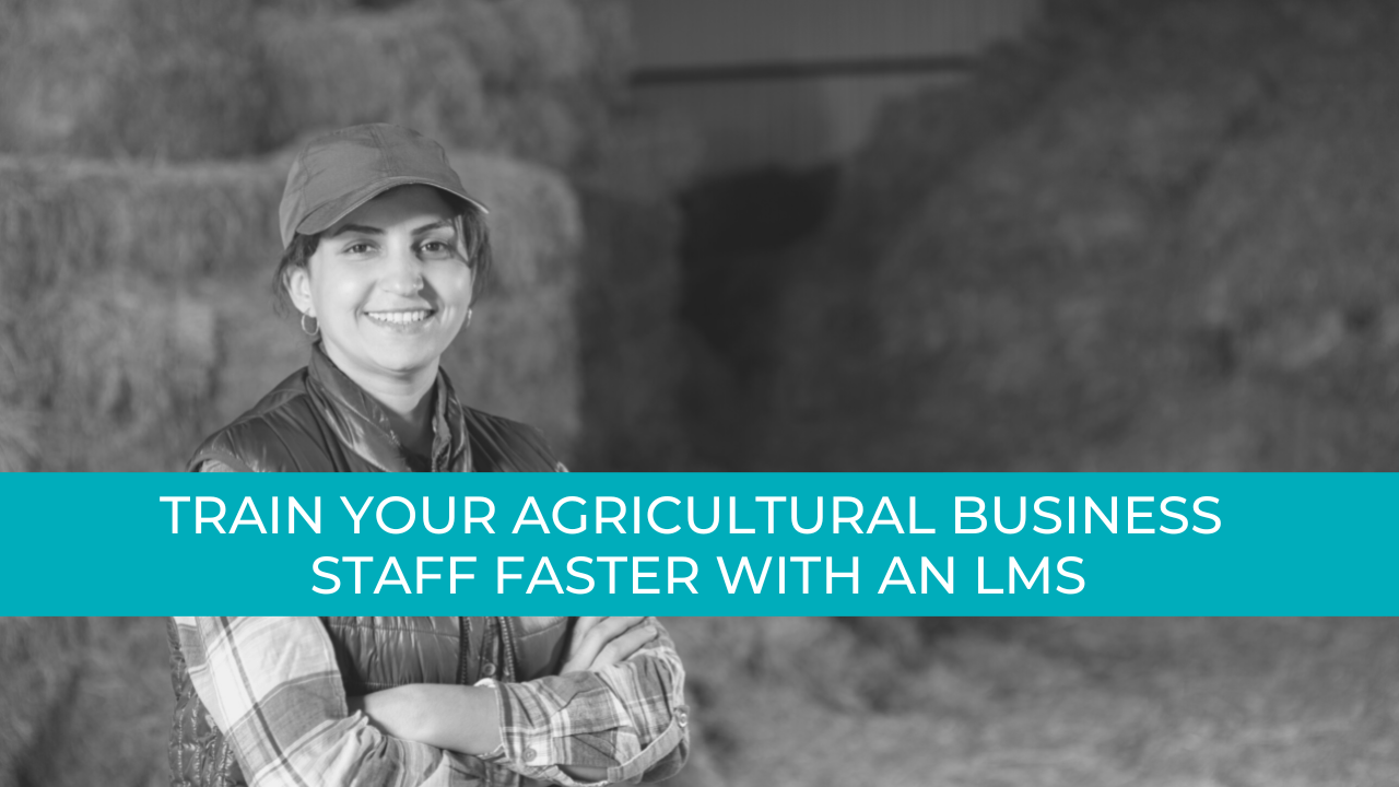 Train Your Staff with an LMS