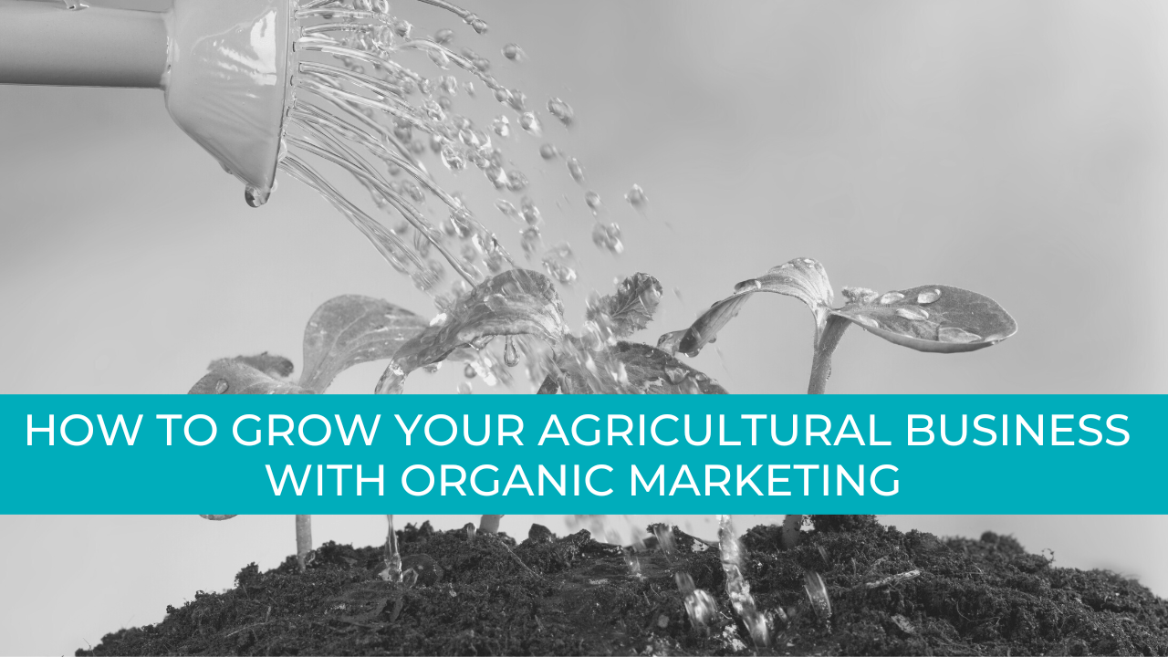 Grow Your Business with Organic Marketing