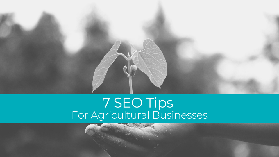 SEO tips for agricultural businesses
