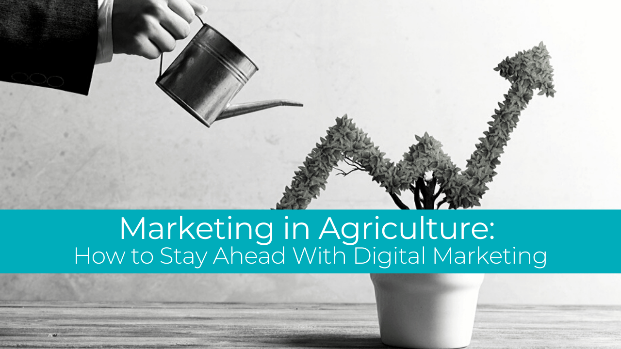 Marketing in Agriculture how to stay ahead with digital marketing
