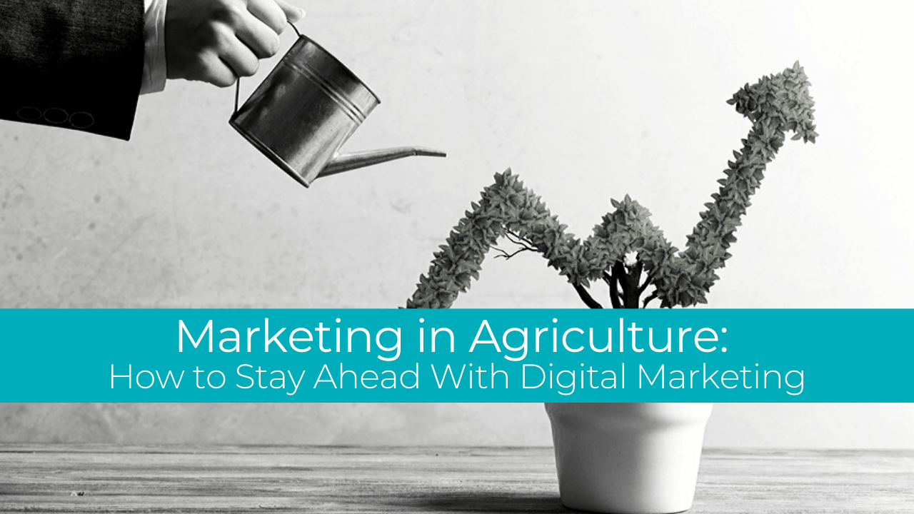 Marketing in Agriculture How to Stay Ahead With Digital Marketing