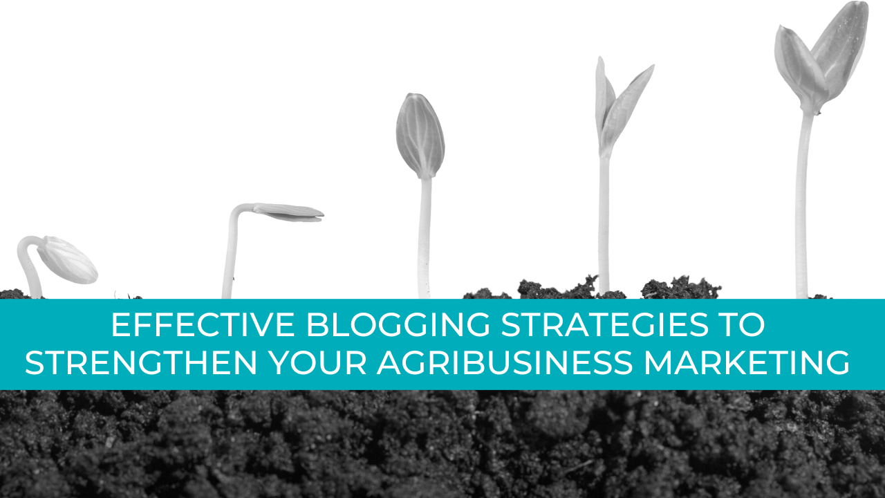 Leading Blogging Strategies For Agribusinesses