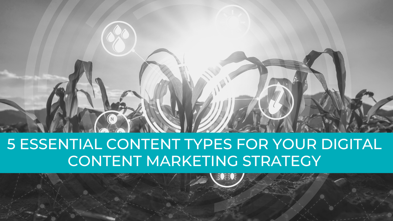 5 Essential Content Types for Your Digital Content Marketing Strategy