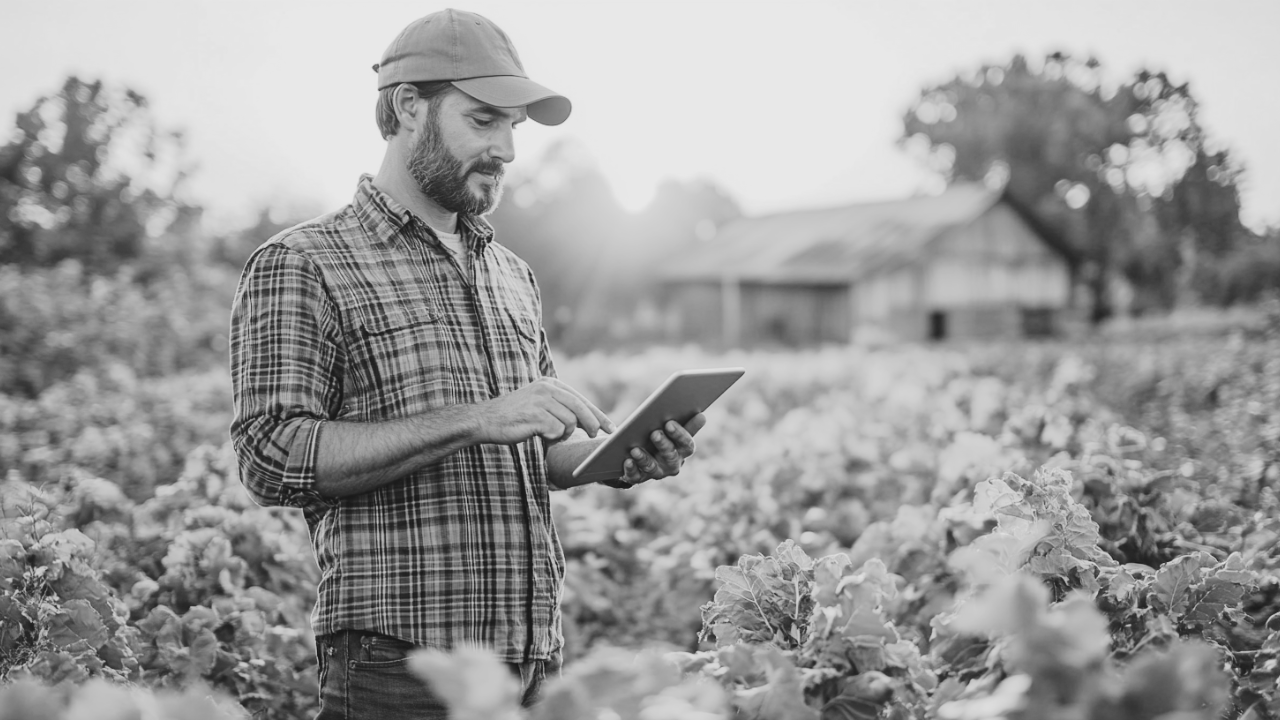Harnessing AI for Effective Customer Segmentation in Agriculture