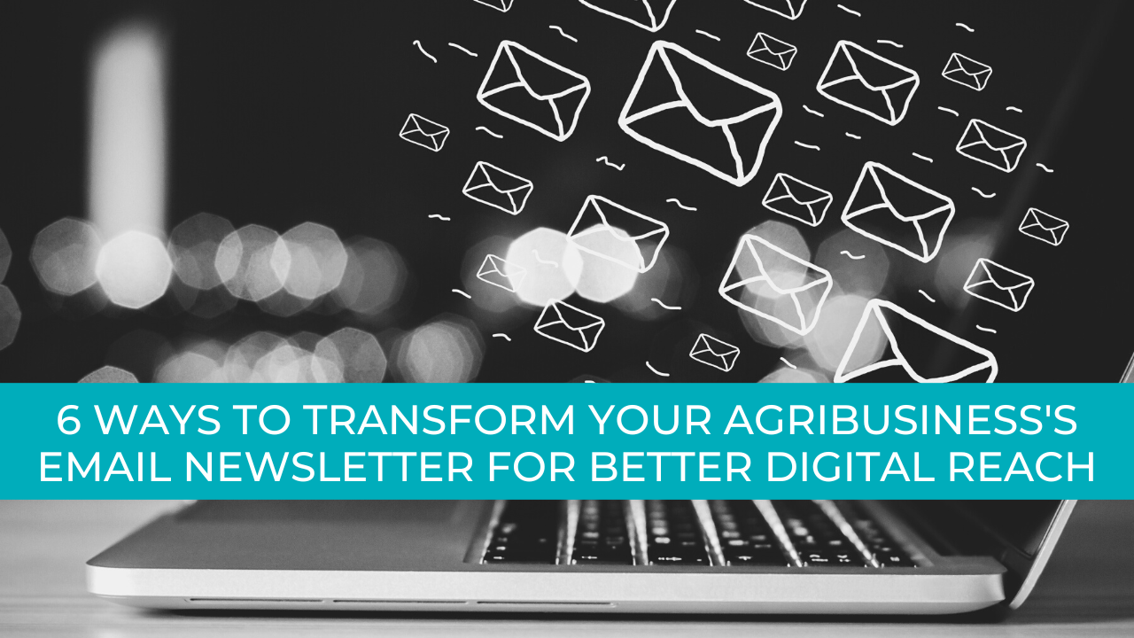 Transform Your Agribusiness's Email Newsletter
