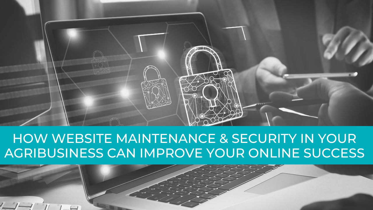 Web Maintenance & Security For Agribusinesses