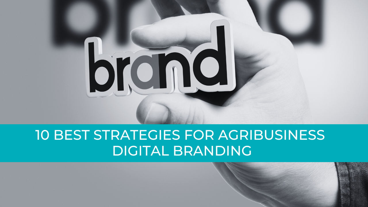 10 Best Strategies for Digital Branding