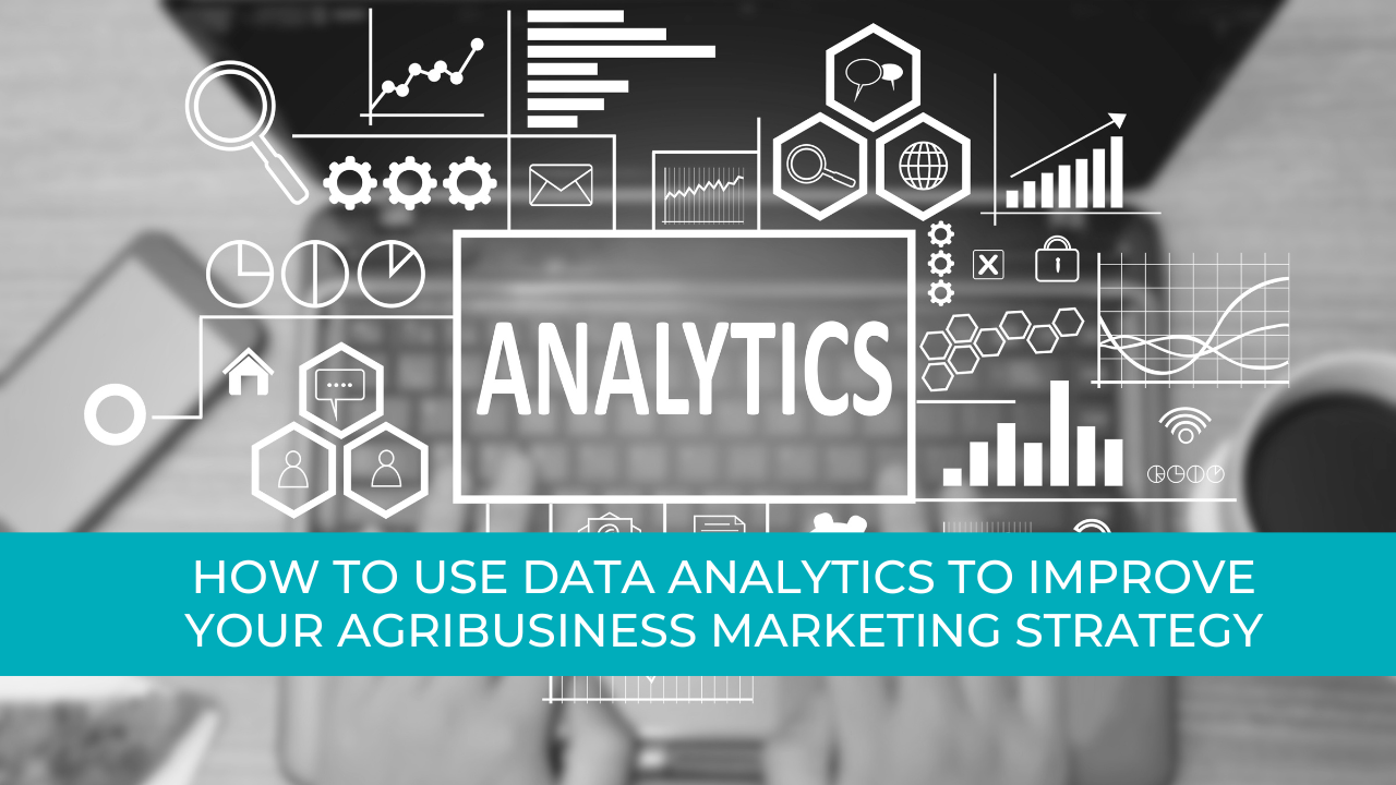 How to Use Data Analytics to Improve Your Agribusiness Marketing Strategy | Agtivation