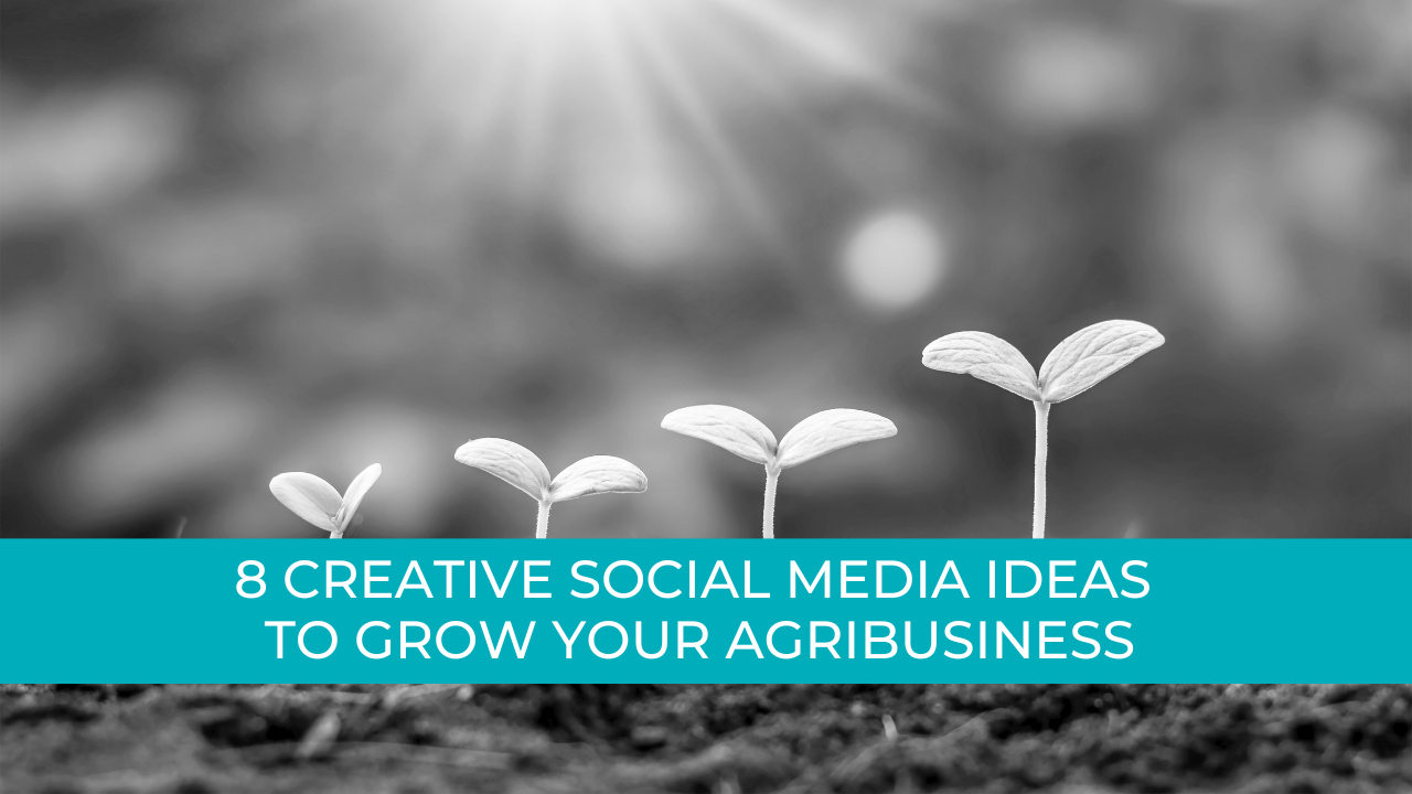  Creative Social Media Ideas for Agribusinesses | Agtivation
