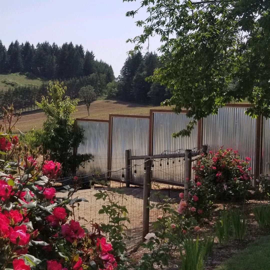A garden with red roses, metal fence, and rolling hills with trees.