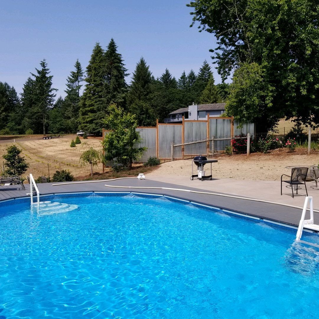 Pool with blue water and white ladder, concrete patio, trees and fence in background.