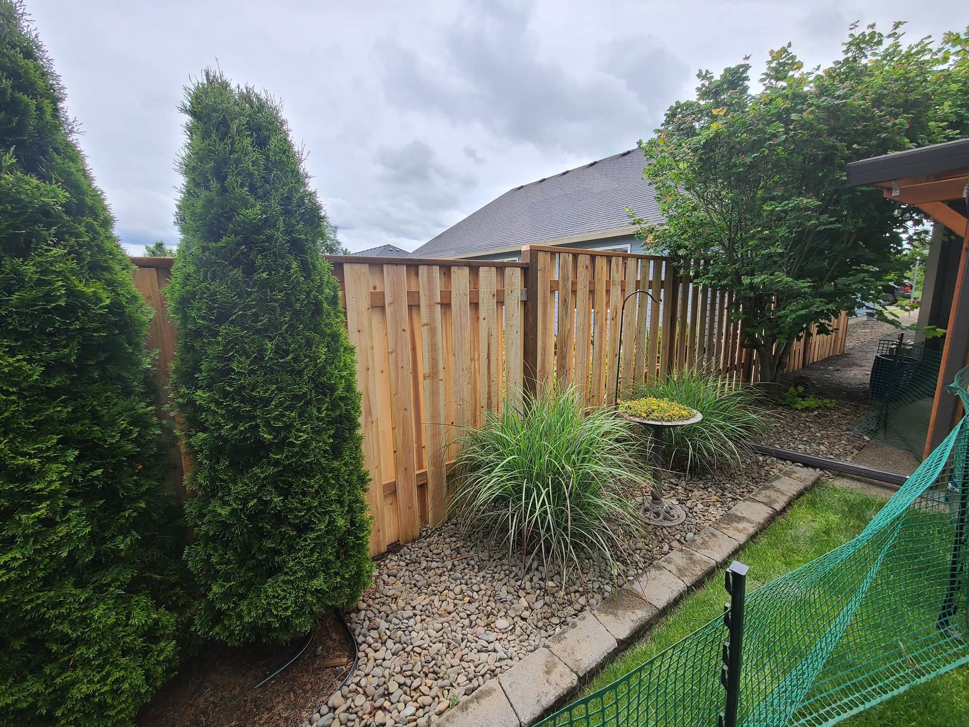Wooden fence with shrubs and evergreens in a backyard setting under a cloudy sky.