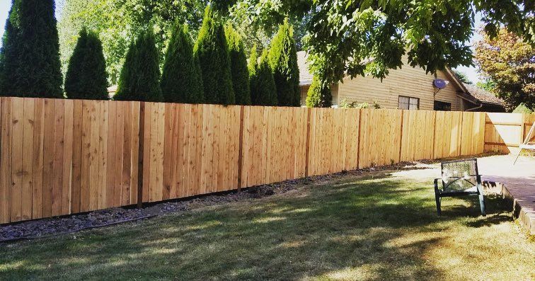Wooden privacy fence in a backyard with green grass, trees, and a bench.