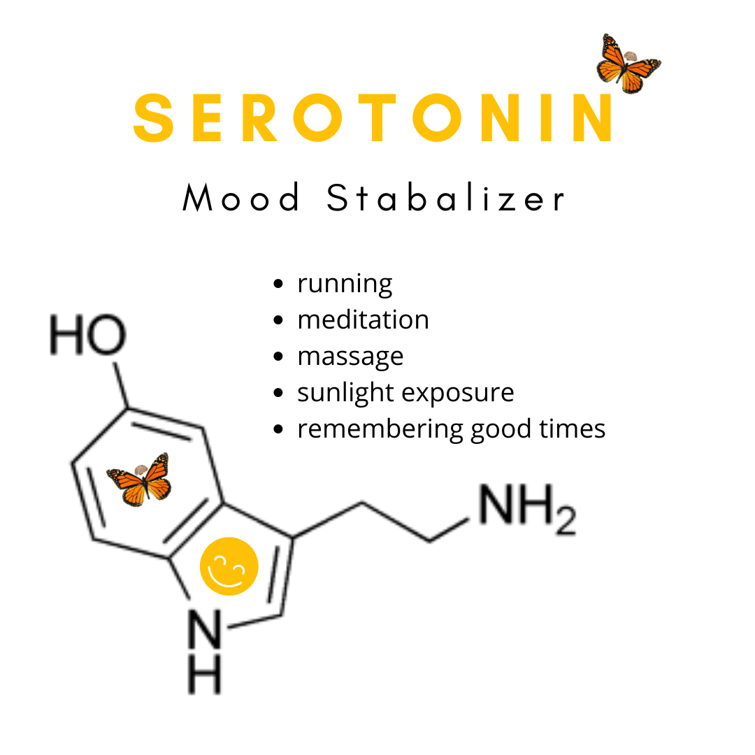 A Dialogue between the Immune System and Brain, Spoken in the Language of  Serotonin