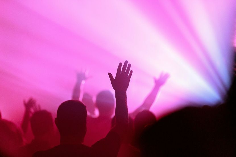People with arms raised in a crowd, illuminated by pink and white stage lights.